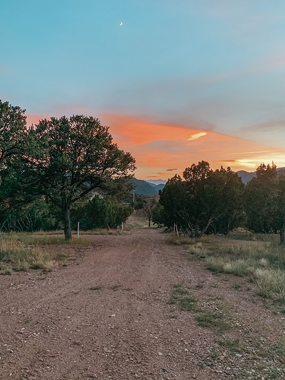 WALKING TRAILS